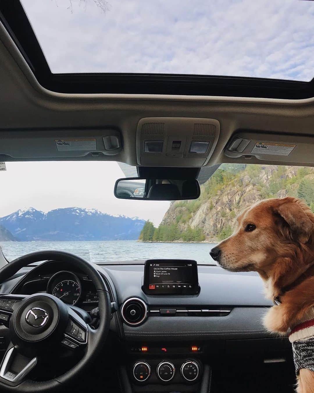 MAZDA Canadaさんのインスタグラム写真 - (MAZDA CanadaInstagram)「The May #longweekend is here. Where will you take your Mazda? 📸: @brittanyshmyr #may24weekend #victoriaday」5月18日 1時54分 - mazdacanada