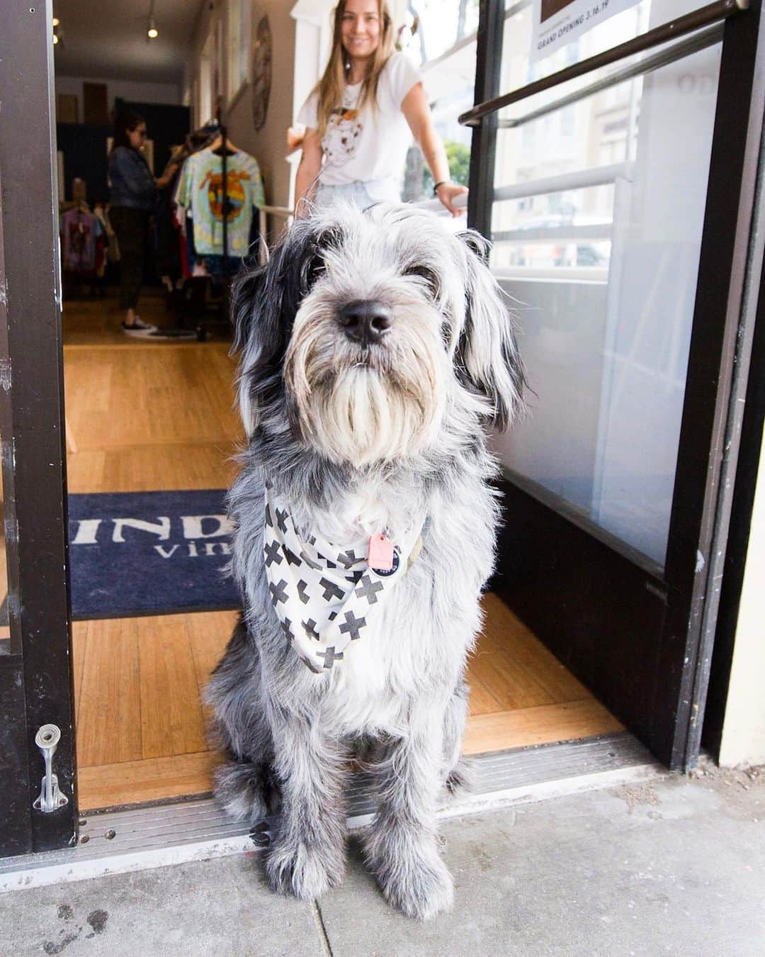 The Dogistさんのインスタグラム写真 - (The DogistInstagram)「Beaux, Australian Shepherd/Black Russian Terrier mix (10 m/o), Haight & Clayton St., San Francisco, CA • “He’s the boss here. He’s who we take orders from.”」5月18日 3時18分 - thedogist