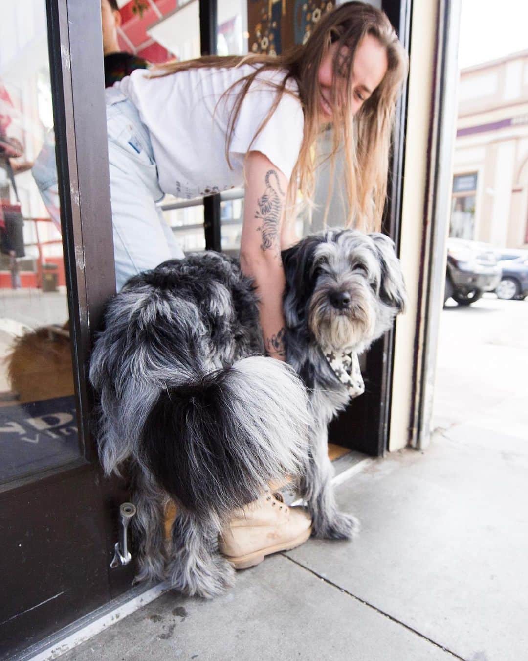 The Dogistさんのインスタグラム写真 - (The DogistInstagram)「Beaux, Australian Shepherd/Black Russian Terrier mix (10 m/o), Haight & Clayton St., San Francisco, CA • “He’s the boss here. He’s who we take orders from.”」5月18日 3時18分 - thedogist