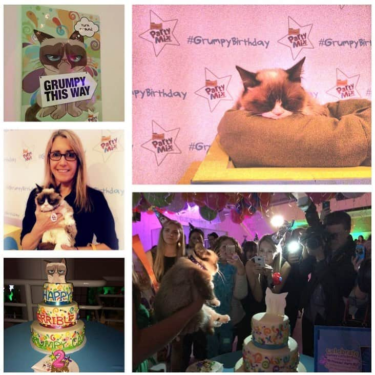 City the Kittyさんのインスタグラム写真 - (City the KittyInstagram)「Sad to hear that little Grumpy cat passed away. 💔😿 She was a very special kitty who brought lots of smiles to the world.  Here are some pictures my mom took when she went to Grumpy’s birthday party in NYC in 2014. ❤️ #fbf #grumpycat #realgrumpycat #pawsneedclaws」5月18日 3時38分 - citythekitty