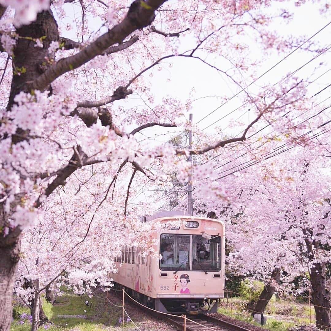 DHC Skincareさんのインスタグラム写真 - (DHC SkincareInstagram)「Friday adventures in Kyoto, #Japan 🇯🇵 📸 @takemyhearteverywhere」5月18日 4時12分 - dhcskincare