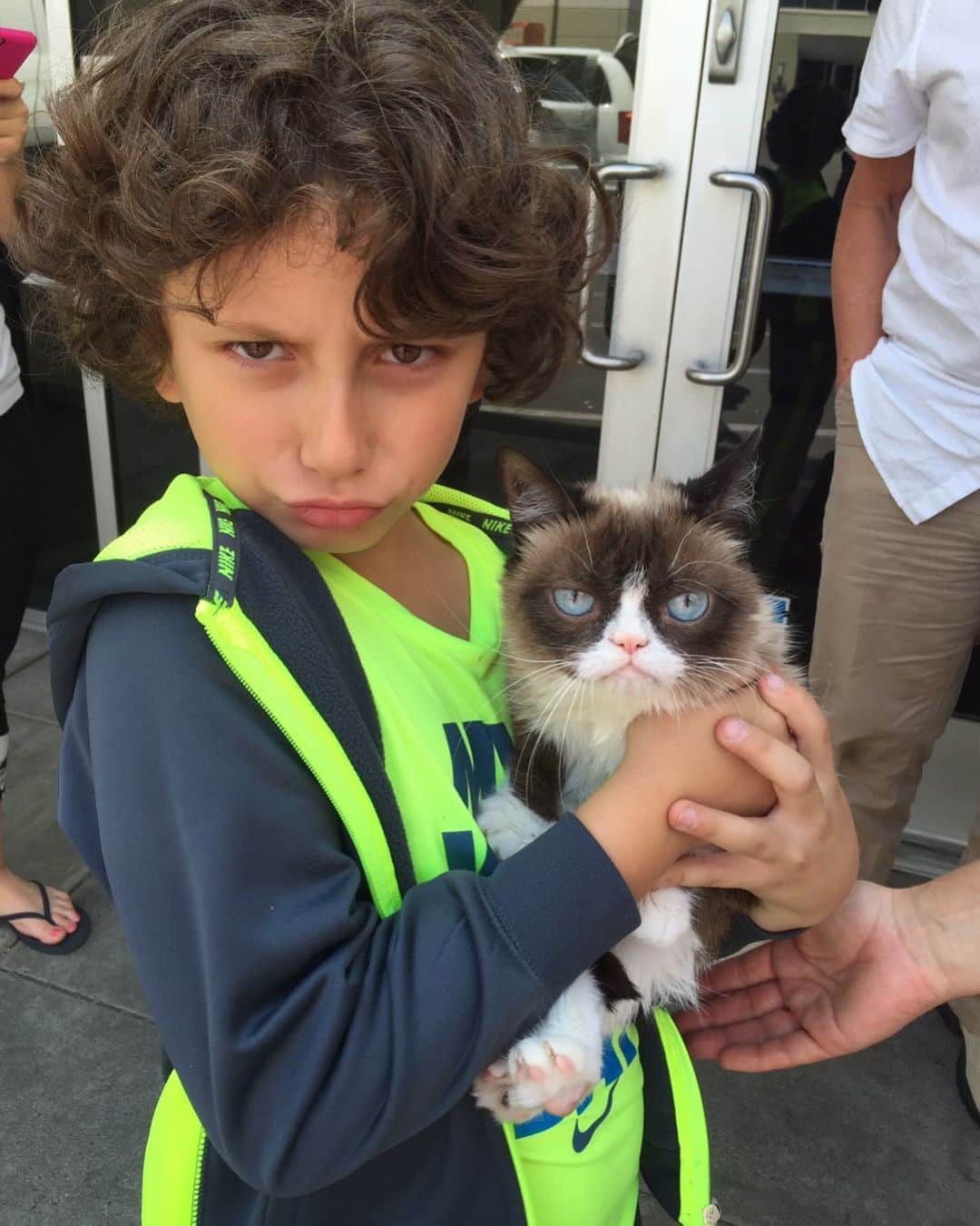 オーガスト・マトゥーロのインスタグラム：「#RIPGrumpyCat 😭 You were the tiniest cutest creature ever! 😪 Thank you for bringing so much joy to the world with your cute little grumpy face! 💔🌈」