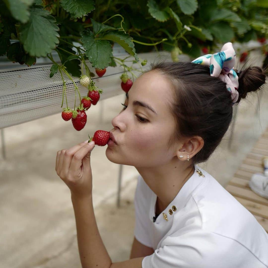 ウッラサヤー・セパーバンさんのインスタグラム写真 - (ウッラサヤー・セパーバンInstagram)「ทานอย่างเดียวก็อร่อยแต่ไม่อร่อยเท่ากับได้ทานกับ #teapot คะ 🥰」5月18日 15時16分 - urassayas