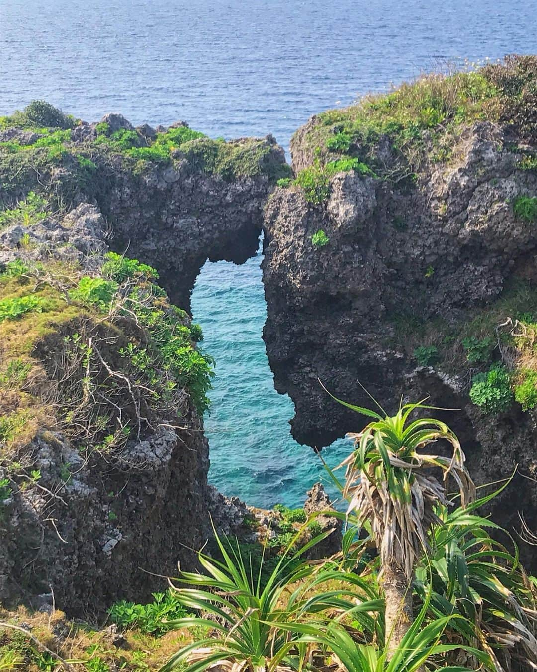 横田亜美さんのインスタグラム写真 - (横田亜美Instagram)「❤︎ . 沖縄投稿一旦終わり🏝* . 初めての万座毛⛰ . 景色が綺麗だった〜 何よりも海が綺麗っっ . 国際通りでお揃いの服買って 双子コーデしたよ💕💕 . 帽子とかは似たもので 合わせました〜💕👒💕 . 今は東京にいるから 東京投稿明日からしてく💕 . . #沖縄 #沖縄旅行 #旅行 #万座毛 #おそろコーデ #お揃いコーデ #双子コーデ #おそろ #ツインズ #双子 #かわいい #ドット #海 #なかよし #同じ歳 #okinawa #japan」5月18日 13時42分 - amimi0218