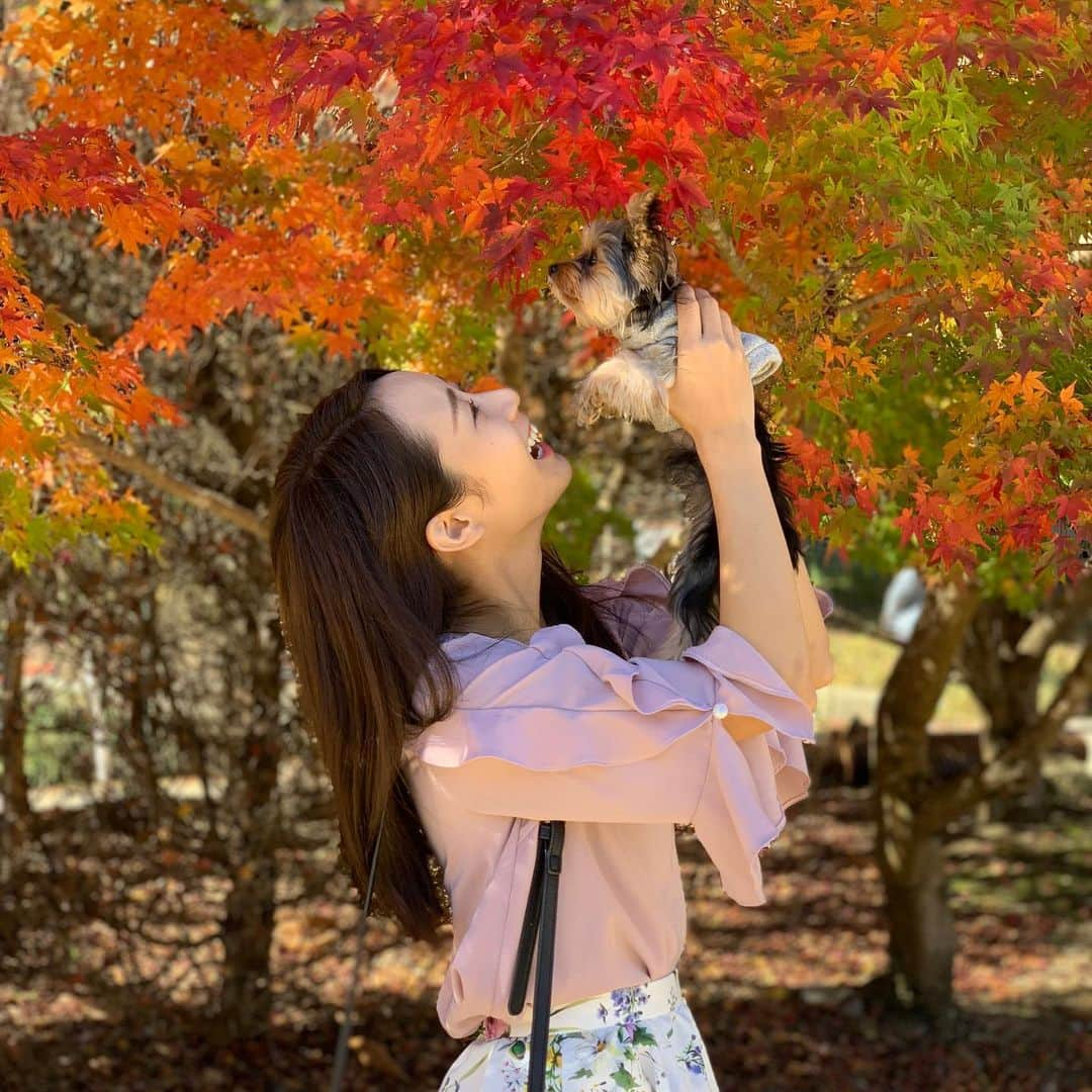 筒井萌子さんのインスタグラム写真 - (筒井萌子Instagram)「* 昨日でうに🐶１歳おめでとう🎈💕 うにすたぐらむ→ @nontatiara  実家に帰る時しか会えないけどいつも 送られてくる写真や動画に癒されてる🐥 来月会えるかな〜❤️ これからもスクスク育ってね〜*•.❥◡̈*.。 ・ #tbs #ドラマ #筒井萌子 #女優 #actress #モデル #model #ヨークシャテリア #ヨーキー  #岡山 #shooting #instagood #instalike #撮影 #followme #instalike #ゴルフ #ゴルフ女子 #シャネル #CHANEL #chanel」5月18日 13時50分 - tsutsui.moeko.o