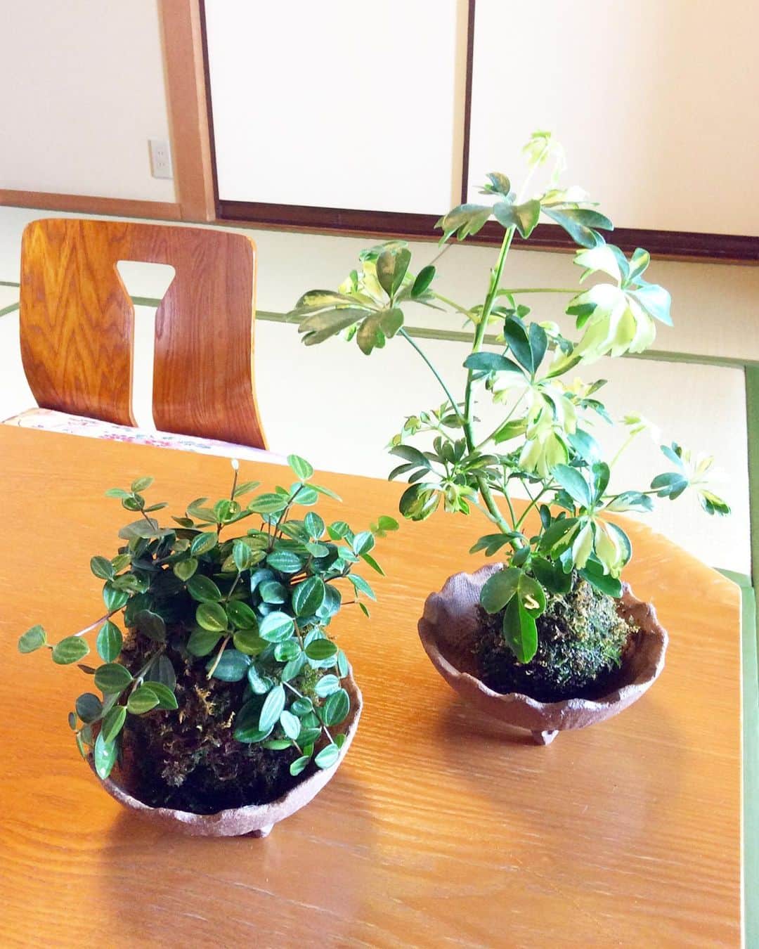 祥吉のグルメインスタ