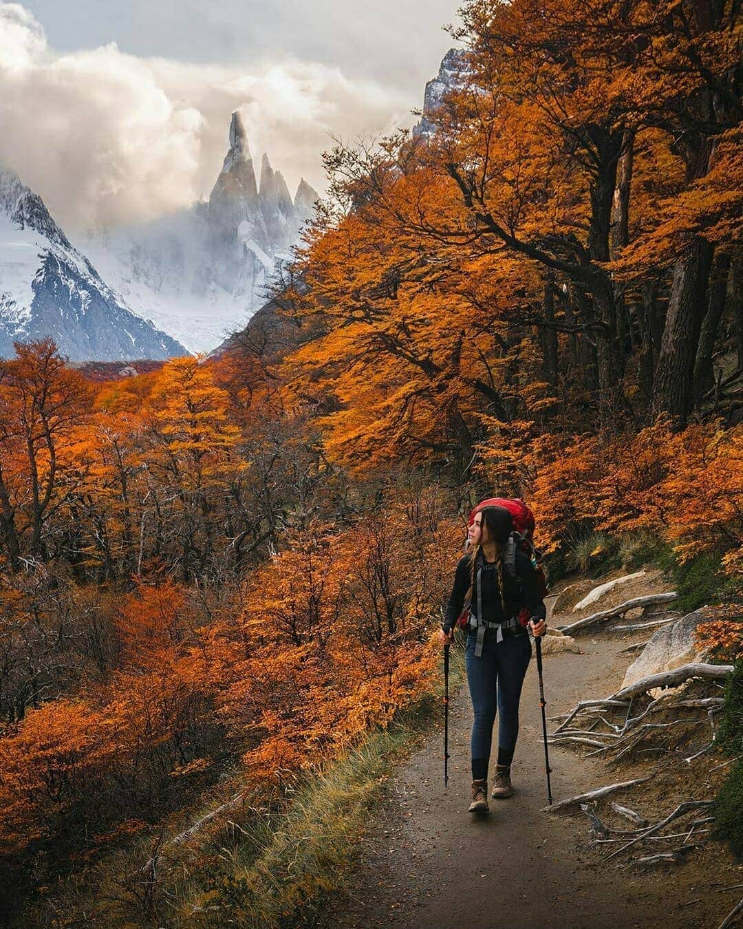 Discover Earthさんのインスタグラム写真 - (Discover EarthInstagram)「The transition between autumn and winter is always an incredible moment of the year ! But it gets even better when you can witness both seasons at once ! 🍂🇦🇷 What do you think of these incredible photos from El Chaltén, Argentina ? Tag someone who should see them ! — 📍#DiscoverArgentina — 📸 Photos by @braybraywoowoo」5月18日 15時03分 - discoverearth