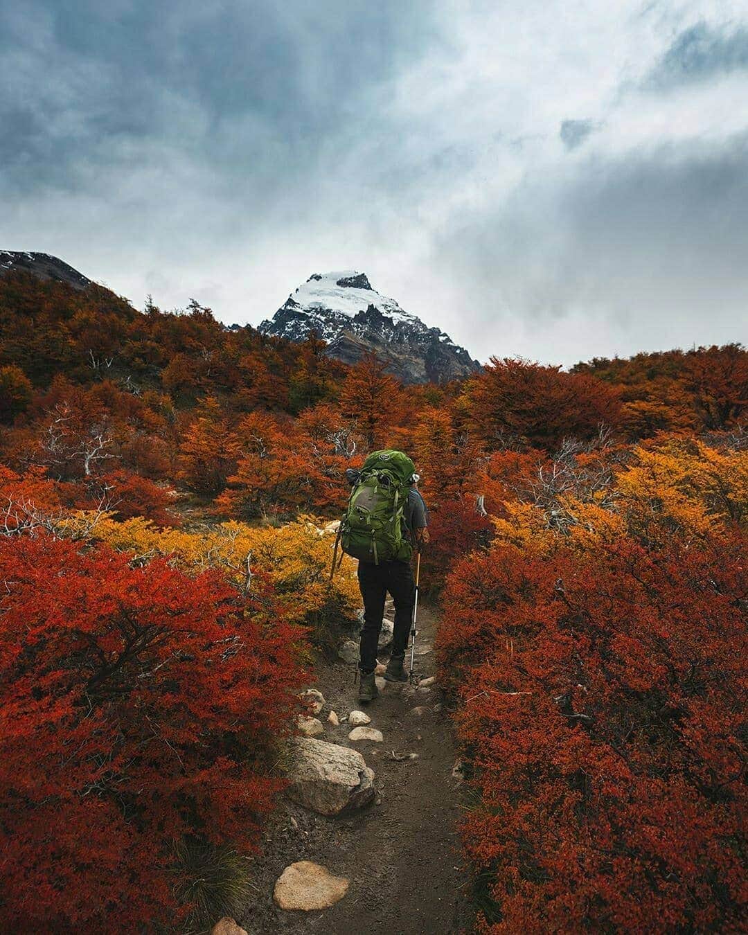 Discover Earthさんのインスタグラム写真 - (Discover EarthInstagram)「The transition between autumn and winter is always an incredible moment of the year ! But it gets even better when you can witness both seasons at once ! 🍂🇦🇷 What do you think of these incredible photos from El Chaltén, Argentina ? Tag someone who should see them ! — 📍#DiscoverArgentina — 📸 Photos by @braybraywoowoo」5月18日 15時03分 - discoverearth