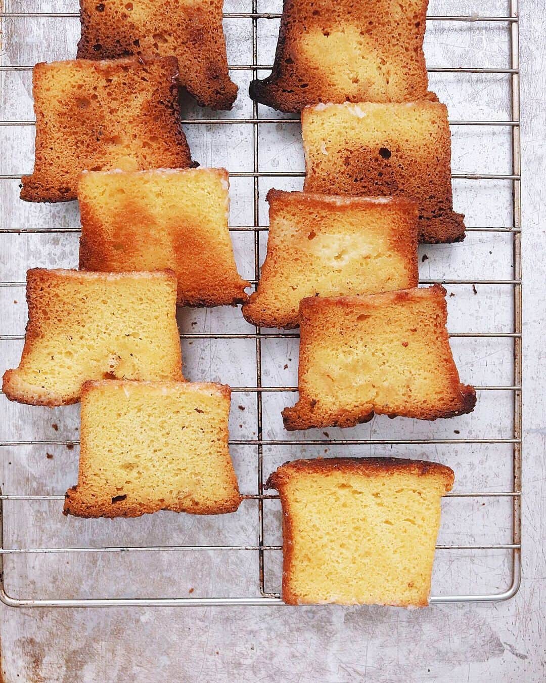 樋口正樹さんのインスタグラム写真 - (樋口正樹Instagram)「rusk . ３日前に焼いたケーキは ちょっと諸事情があって、 薄く切って焼き直されて ラスクになったのでした。 パンのラスクにくらべて、 ケーキのは味わいリッチ。 . . #ラスク #rusk #リベイク #リメイク菓子 #大人の事情 #朝菓子 #おやつ」5月18日 7時12分 - higuccini
