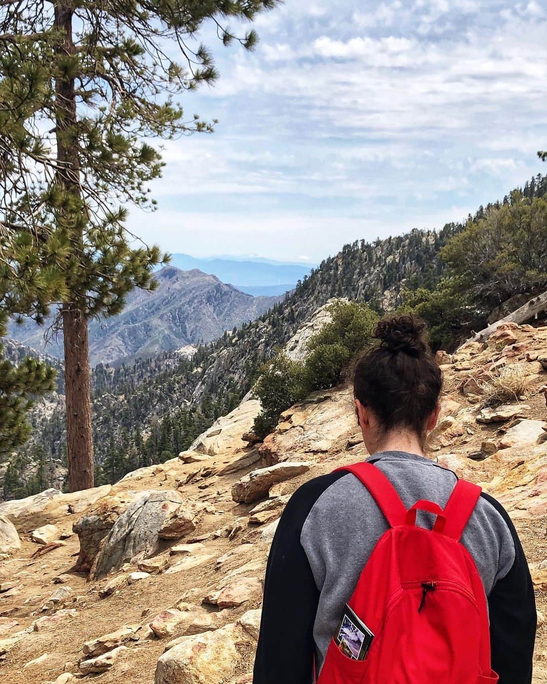 Grace Bonneyのインスタグラム：「So grateful for a chance to adventure together with this one. This week we’ve hiked through caverns and what felt like miles of Martian terrain- as well as taking a tram up to 8500 feet to hike at the top of San Jacinto mountain. We’ve seen so many beautiful things, but looking over and seeing @turshen next to me is always my favorite view. ♥️」