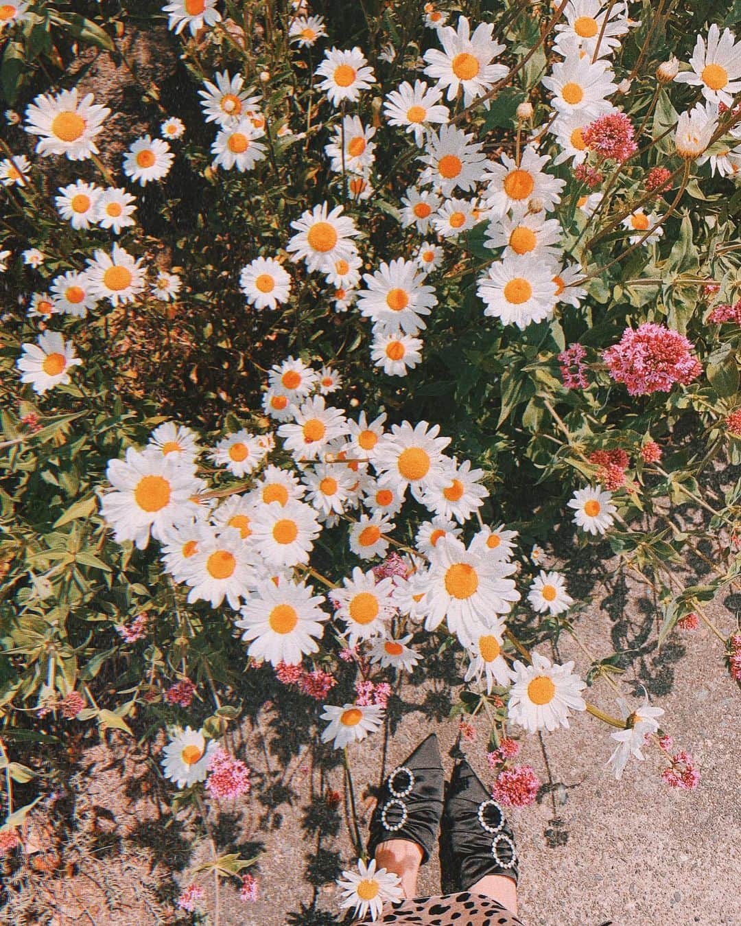 AikA♡ • 愛香 | JP Blogger • ブロガーのインスタグラム：「Feel discouraged, uninspired and are in a lil funk? Yes, yesterday was one of those days. I felt 💩 & 😕 But I really didn’t want to let those feelings ruin my day. So I decided to make a list: ~ 𝗪𝗔𝗬𝗦 𝗧𝗢 𝗚𝗘𝗧 𝗢𝗨𝗧 𝗢𝗙 𝗔 𝗙𝗨𝗡𝗞 ~ • Listen to music at the maximum volume and dance dance dance 💃🏻 • Do one chore, ANY chore 🧹 • Go for a walk outside with my phone in the pocket🚶🏻‍♀️ • Play piano 🎹 • Read a book, even just 1 page 📖 • Tell myself “I am amazing. I am awesome. I am valuable. I am capable. I am beautiful and I am loved.” every time I go to a bathroom looking at the mirror with the biggest smile as I can 😁 • Workout, just 10 push-up or/and 30 seconds plank x 2 🏋🏻‍♀️ • Text/phone a friend 👭💌🤙🏻 ⠀⠀⠀⠀⠀⠀⠀ Guess what! I CHECKED OFF ALL OF THEM 🙌🏻🤩 and I felt so accomplished and driven! I was really proud of myself and that I took care of myself in the best way I could. Also today I feel so good about myself and feel so pretty with the best natural makeup 💄 I’ve done in a while 😍 ( See it in #IGstories ✨) ⠀⠀⠀⠀⠀ Life doesn’t always go with the flow or go as expected. But it’s really important how you take those “funk” days - do you make it an opportunity to love yourself a bit more than yesterday? or just let it eat away at you and get affected by negativity? We can’t allow ourselves to wallow in self-pity or wait for windfall to come. Life happens - just because. Accept what you have for the moment and learn to appreciate it 💛 ⠀⠀⠀⠀⠀ If you are having a bad day or feeling in a funk today or next time you feel this way, I hope I inspire you to FIRST accept those feelings and give yourself lots of self compassion, and then turn them into a self-care & self-love day ♥️ Remember not to be hard on yourself & it’s OK to feel not ok. Happy Friday my loves ✨🥰🌈 xxx ..... #selfcare #itsokaynottobeokay #baddaysbuildbetterdays #selflove #howtobehappy #flowers_andlife」