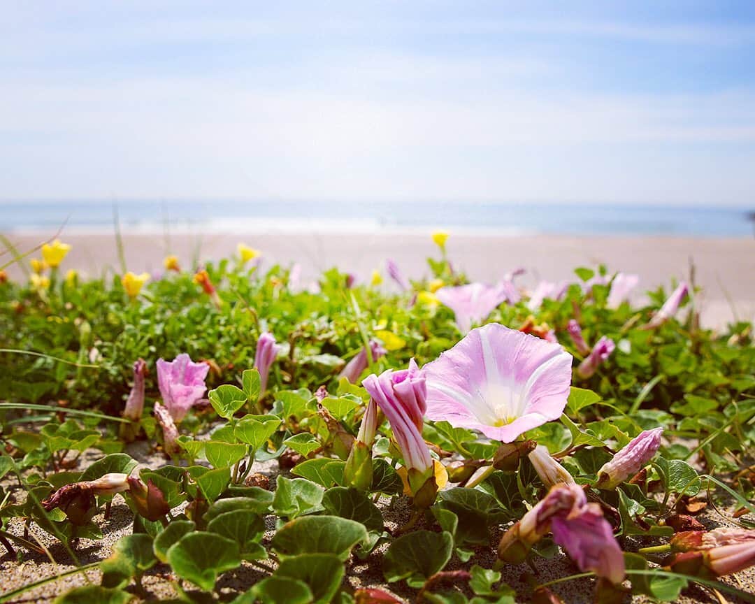 愛知県田原市のグルメインスタ
