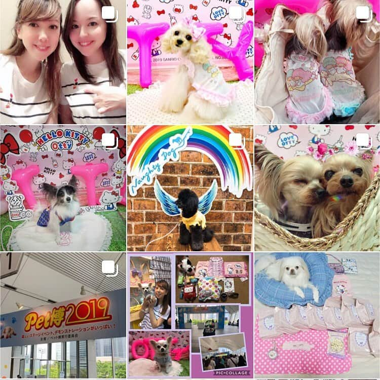 大原かおりさんのインスタグラム写真 - (大原かおりInstagram)「😋🐶💖 今から大阪へ(σ・∀・)σ🎶 新幹線の中は、かなりのんびりで落ち着く〜☺️🚅💕 ☺︎ 幕張ペット博に遊びに来てくださった方々が、お写真に沢山タグ付けしてくれて嬉しかったです❣️ ありがとうございます❤️ 全部拝見しました♡♡♡ ☺︎ 全部リポストさせてもらいたかったのですが…私…遅そうなので🙈💦 一覧ページを写真撮って、タグ付け返しさせてもらいました😘💕 皆さま、本当にありがとうございましたd(^O^)b ☺︎ 幕張ペット博で、サンリオコラボ商品をご注文を頂いた皆さま🐶💖 今月末もしくは来月頭にはお届けさせてもらいますので、もう少々お待ちください🙇‍♀️🙇‍♀️🙇‍♀️🙏 * #Otty #OttyDog #Pet博 #ペット博 #幕張 #幕張ペット博 #Chihuahua #Poodle #Pomeranian #ShihTzu #YorkshireTerrier #Yorkie #Pekingese #狆 #Papillon #Pug #Bulldog #Dachshund #SealyHamTerrier #WolfDog #狼犬 #来場 #ご注文 #ありがとうございました #🐶💕」5月18日 8時37分 - oharagaori_otty