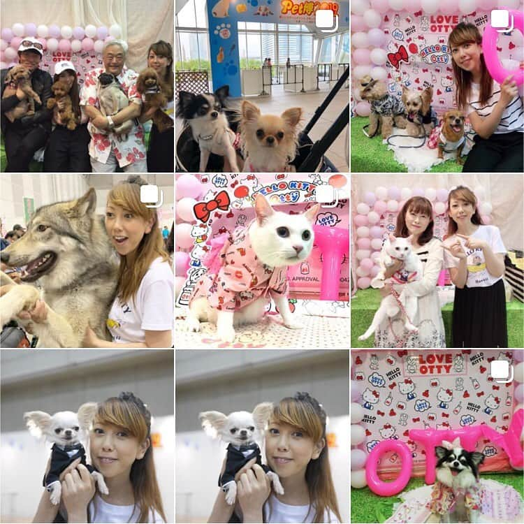 大原かおりさんのインスタグラム写真 - (大原かおりInstagram)「😋🐶💖 今から大阪へ(σ・∀・)σ🎶 新幹線の中は、かなりのんびりで落ち着く〜☺️🚅💕 ☺︎ 幕張ペット博に遊びに来てくださった方々が、お写真に沢山タグ付けしてくれて嬉しかったです❣️ ありがとうございます❤️ 全部拝見しました♡♡♡ ☺︎ 全部リポストさせてもらいたかったのですが…私…遅そうなので🙈💦 一覧ページを写真撮って、タグ付け返しさせてもらいました😘💕 皆さま、本当にありがとうございましたd(^O^)b ☺︎ 幕張ペット博で、サンリオコラボ商品をご注文を頂いた皆さま🐶💖 今月末もしくは来月頭にはお届けさせてもらいますので、もう少々お待ちください🙇‍♀️🙇‍♀️🙇‍♀️🙏 * #Otty #OttyDog #Pet博 #ペット博 #幕張 #幕張ペット博 #Chihuahua #Poodle #Pomeranian #ShihTzu #YorkshireTerrier #Yorkie #Pekingese #狆 #Papillon #Pug #Bulldog #Dachshund #SealyHamTerrier #WolfDog #狼犬 #来場 #ご注文 #ありがとうございました #🐶💕」5月18日 8時37分 - oharagaori_otty