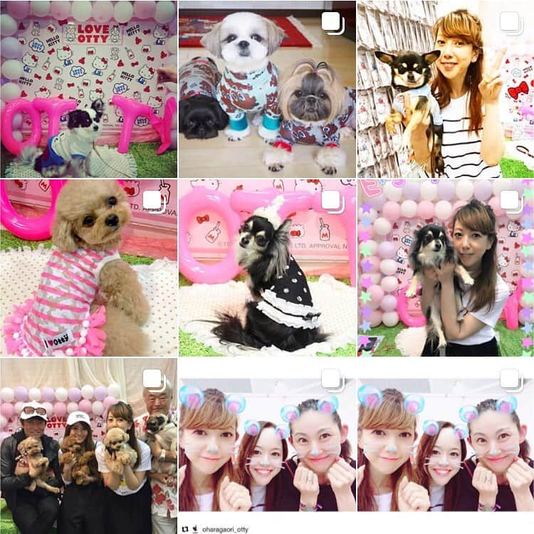 大原かおりさんのインスタグラム写真 - (大原かおりInstagram)「😋🐶💖 今から大阪へ(σ・∀・)σ🎶 新幹線の中は、かなりのんびりで落ち着く〜☺️🚅💕 ☺︎ 幕張ペット博に遊びに来てくださった方々が、お写真に沢山タグ付けしてくれて嬉しかったです❣️ ありがとうございます❤️ 全部拝見しました♡♡♡ ☺︎ 全部リポストさせてもらいたかったのですが…私…遅そうなので🙈💦 一覧ページを写真撮って、タグ付け返しさせてもらいました😘💕 皆さま、本当にありがとうございましたd(^O^)b ☺︎ 幕張ペット博で、サンリオコラボ商品をご注文を頂いた皆さま🐶💖 今月末もしくは来月頭にはお届けさせてもらいますので、もう少々お待ちください🙇‍♀️🙇‍♀️🙇‍♀️🙏 * #Otty #OttyDog #Pet博 #ペット博 #幕張 #幕張ペット博 #Chihuahua #Poodle #Pomeranian #ShihTzu #YorkshireTerrier #Yorkie #Pekingese #狆 #Papillon #Pug #Bulldog #Dachshund #SealyHamTerrier #WolfDog #狼犬 #来場 #ご注文 #ありがとうございました #🐶💕」5月18日 8時37分 - oharagaori_otty