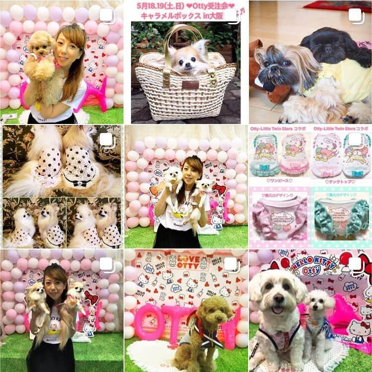 大原かおりさんのインスタグラム写真 - (大原かおりInstagram)「😋🐶💖 今から大阪へ(σ・∀・)σ🎶 新幹線の中は、かなりのんびりで落ち着く〜☺️🚅💕 ☺︎ 幕張ペット博に遊びに来てくださった方々が、お写真に沢山タグ付けしてくれて嬉しかったです❣️ ありがとうございます❤️ 全部拝見しました♡♡♡ ☺︎ 全部リポストさせてもらいたかったのですが…私…遅そうなので🙈💦 一覧ページを写真撮って、タグ付け返しさせてもらいました😘💕 皆さま、本当にありがとうございましたd(^O^)b ☺︎ 幕張ペット博で、サンリオコラボ商品をご注文を頂いた皆さま🐶💖 今月末もしくは来月頭にはお届けさせてもらいますので、もう少々お待ちください🙇‍♀️🙇‍♀️🙇‍♀️🙏 * #Otty #OttyDog #Pet博 #ペット博 #幕張 #幕張ペット博 #Chihuahua #Poodle #Pomeranian #ShihTzu #YorkshireTerrier #Yorkie #Pekingese #狆 #Papillon #Pug #Bulldog #Dachshund #SealyHamTerrier #WolfDog #狼犬 #来場 #ご注文 #ありがとうございました #🐶💕」5月18日 8時37分 - oharagaori_otty