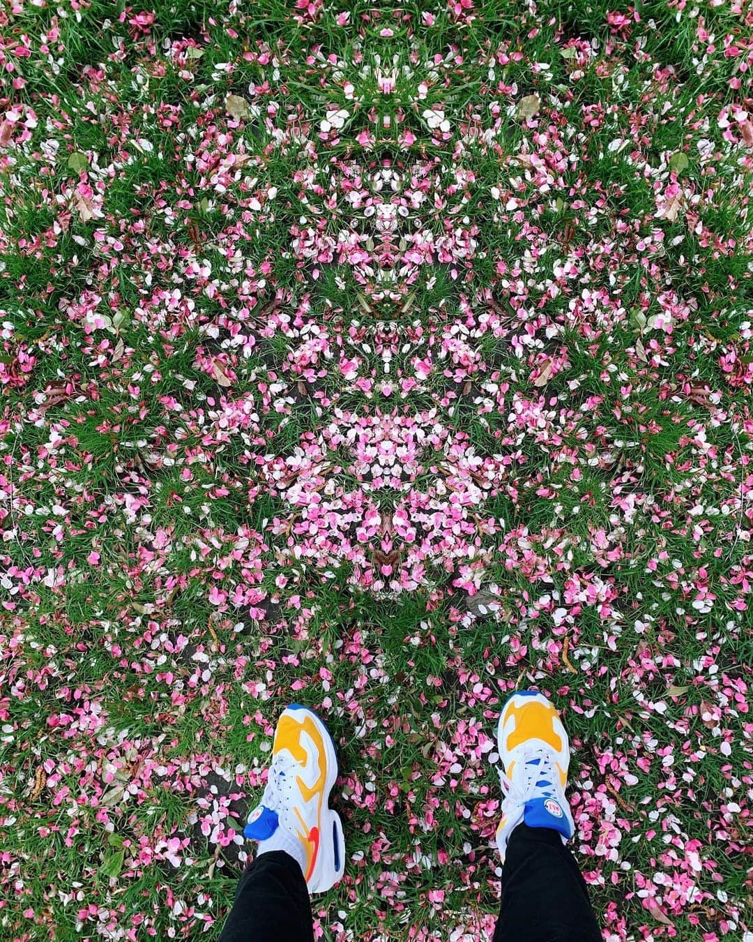 Paul Octaviousのインスタグラム：「My favorite tree finally blossomed yesterday then a hail storm came last night and took every one down! 😬❤️ I still love you pink tree. 🌸」