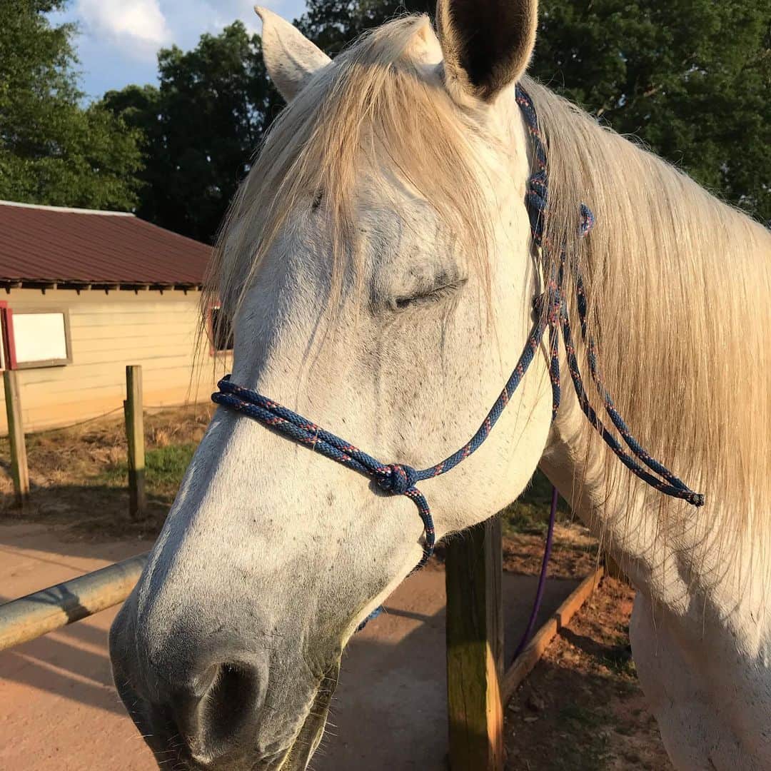 Kishi Bashiさんのインスタグラム写真 - (Kishi BashiInstagram)「Photo session with a horse why not? This is Maggie trying to be as Asian as possible for the shoot.」5月18日 9時01分 - kishi_bashi