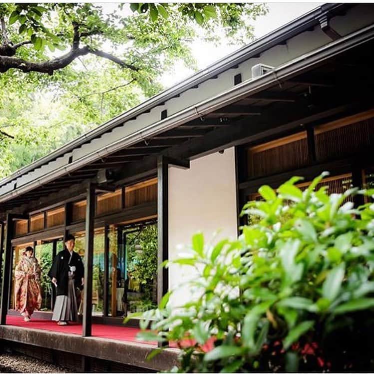 八芳園さんのインスタグラム写真 - (八芳園Instagram)「【朱赤】  庭園の緑が濃く深くなり 日本の伝統色の1つ 朱赤が一層美しい季節に なりました。  朱赤は 生命の力強さを表し、 古来災厄を防ぐ色として大切に されてきた、と言います。  毛氈や傘、花嫁さんの打掛など 今日明日は多くの朱赤に出会えそうです。  #八芳園 #結婚式 #花嫁 #プレ花嫁 #結婚 #披露宴 #白鳳館 #白鳳館花嫁 #濡れ縁 #新婦 #入場 #日本庭園 #日本文化 #色打掛 #赤 #毛氈 #朱赤 #東京 #東京観光  #イベント #ミーティング #東京 #白金台 #品川 #高輪 #八芳園花嫁 #八芳園ウェディング  #happoen #wedding #garden #tokyo」5月18日 9時04分 - happoen