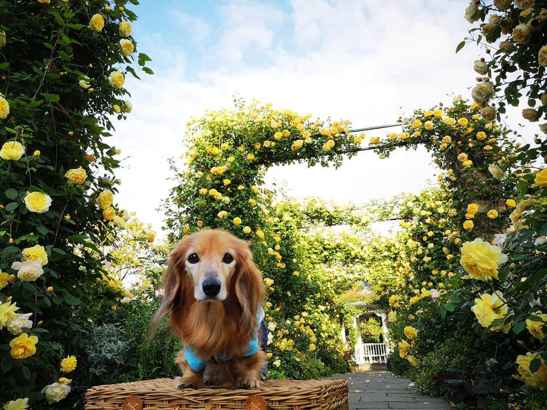 ?モデル?大地?のグルメインスタ