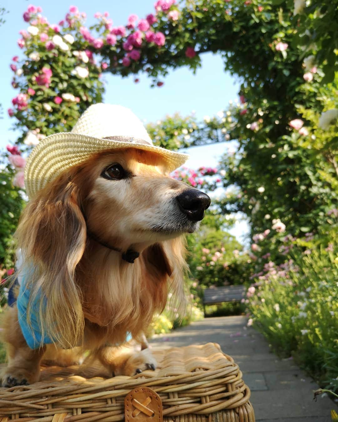 ?モデル?大地?のグルメインスタ