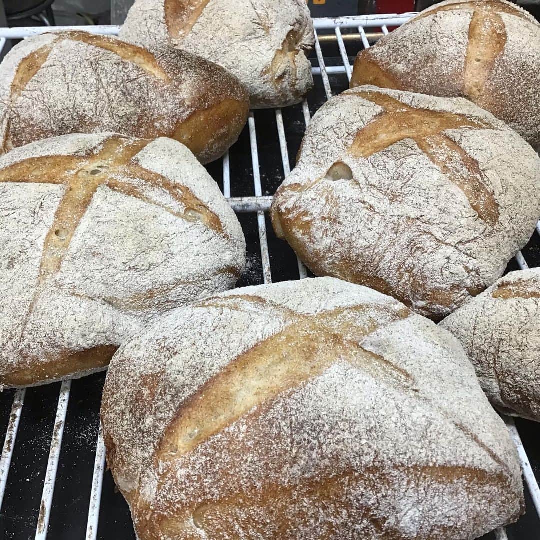 魔女菅原のグルメインスタ