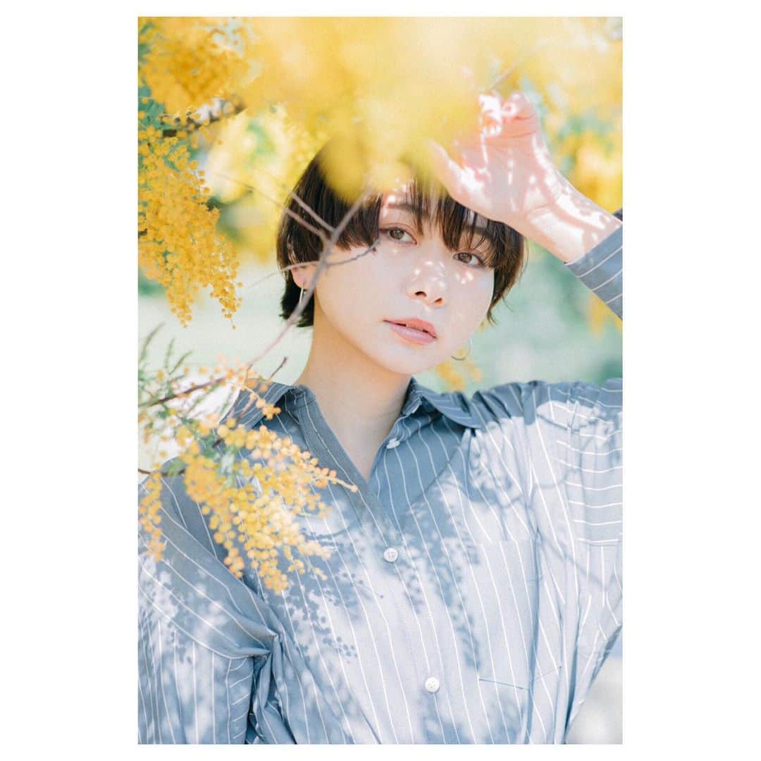 小口桃子さんのインスタグラム写真 - (小口桃子Instagram)「まだ寒かった時の📷﻿ ミモザ綺麗だったなー。﻿ ﻿ #portrait#photography#photographer#model#testshoot#photo#beauty#instagood#mimosa#spring」5月18日 9時32分 - momoko_oguchi