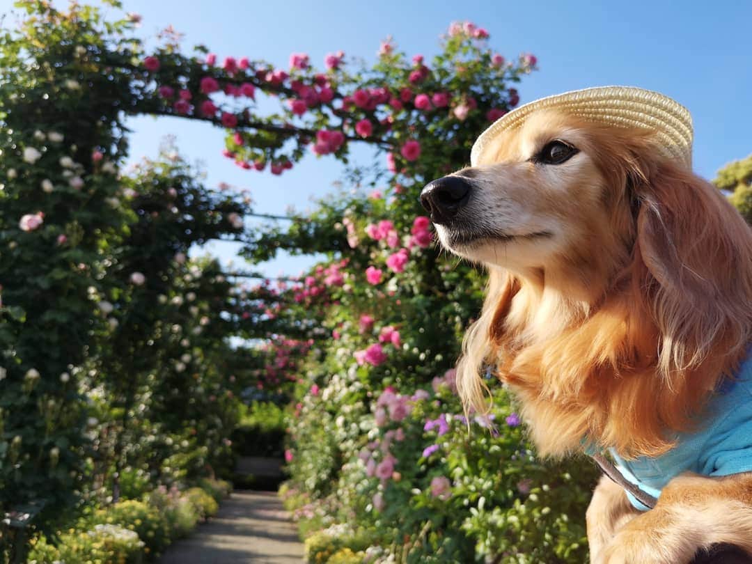 ?モデル?大地?のグルメインスタ