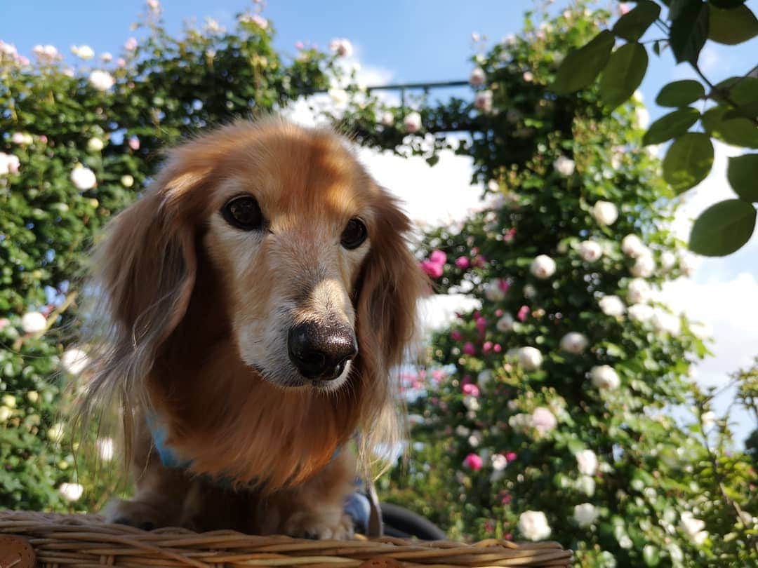 ?モデル?大地?のグルメインスタ