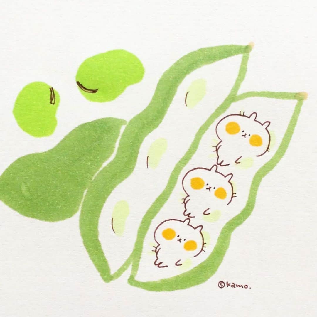 カモさんのインスタグラム写真 - (カモInstagram)「初夏のベッド #フカフカ#そら豆#Soramame#ウサギタケ」5月18日 9時46分 - illustratorkamo