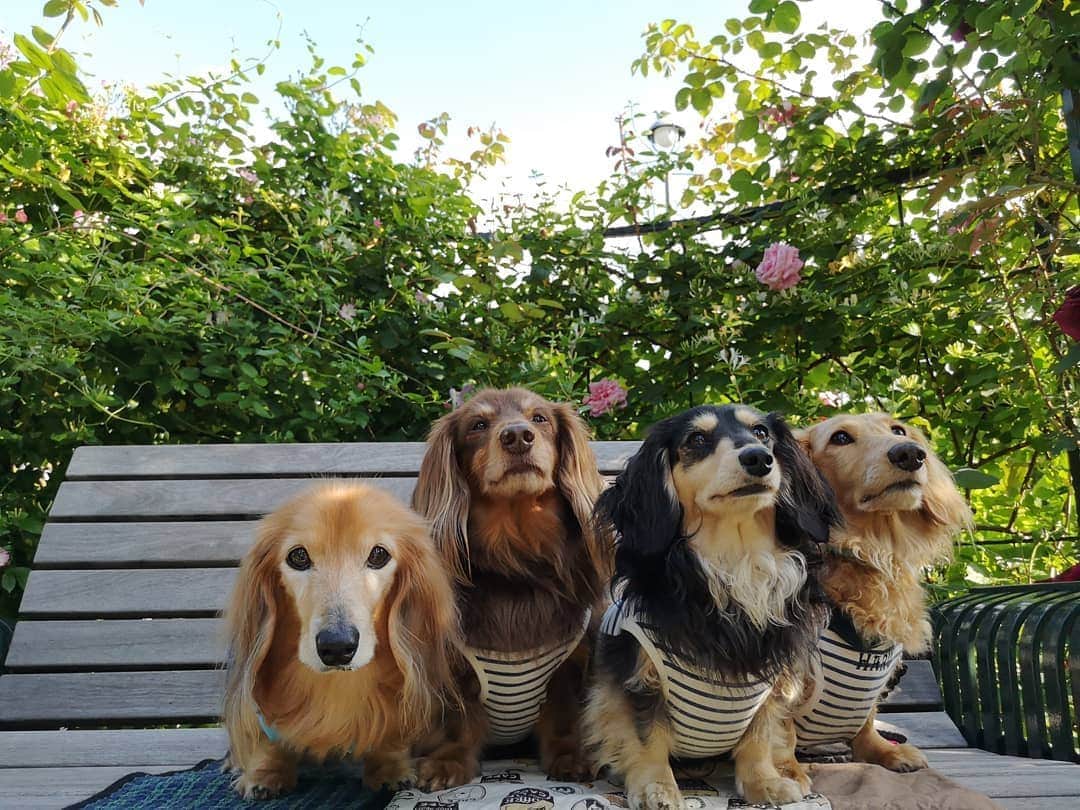 ?モデル?大地?のグルメインスタ