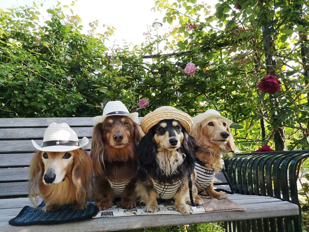 ?モデル?大地?のグルメインスタ