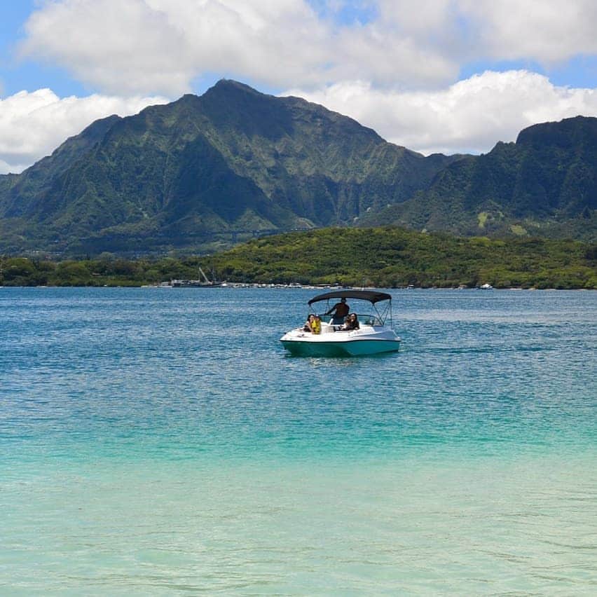 Luxury Cruise by Captain Bruceさんのインスタグラム写真 - (Luxury Cruise by Captain BruceInstagram)「🔹🔹🔹この日は海のコントラストがとても美しく、素敵な写真でいっぱいでした。⠀ 海がめさんも登場で、皆様ツアー時間ぎりぎり海で楽しまれていました  #captainbruce #sandbar #kaneohe #hawaii #oahu #oahulife #ahuolaka #blue #ocean #キャプテンブルース #天国の海 #アフオラカ #ハワイ大好き#ハワイフォト #絶景 #今すぐ海に行きたい」5月18日 10時16分 - cptbruce_hi
