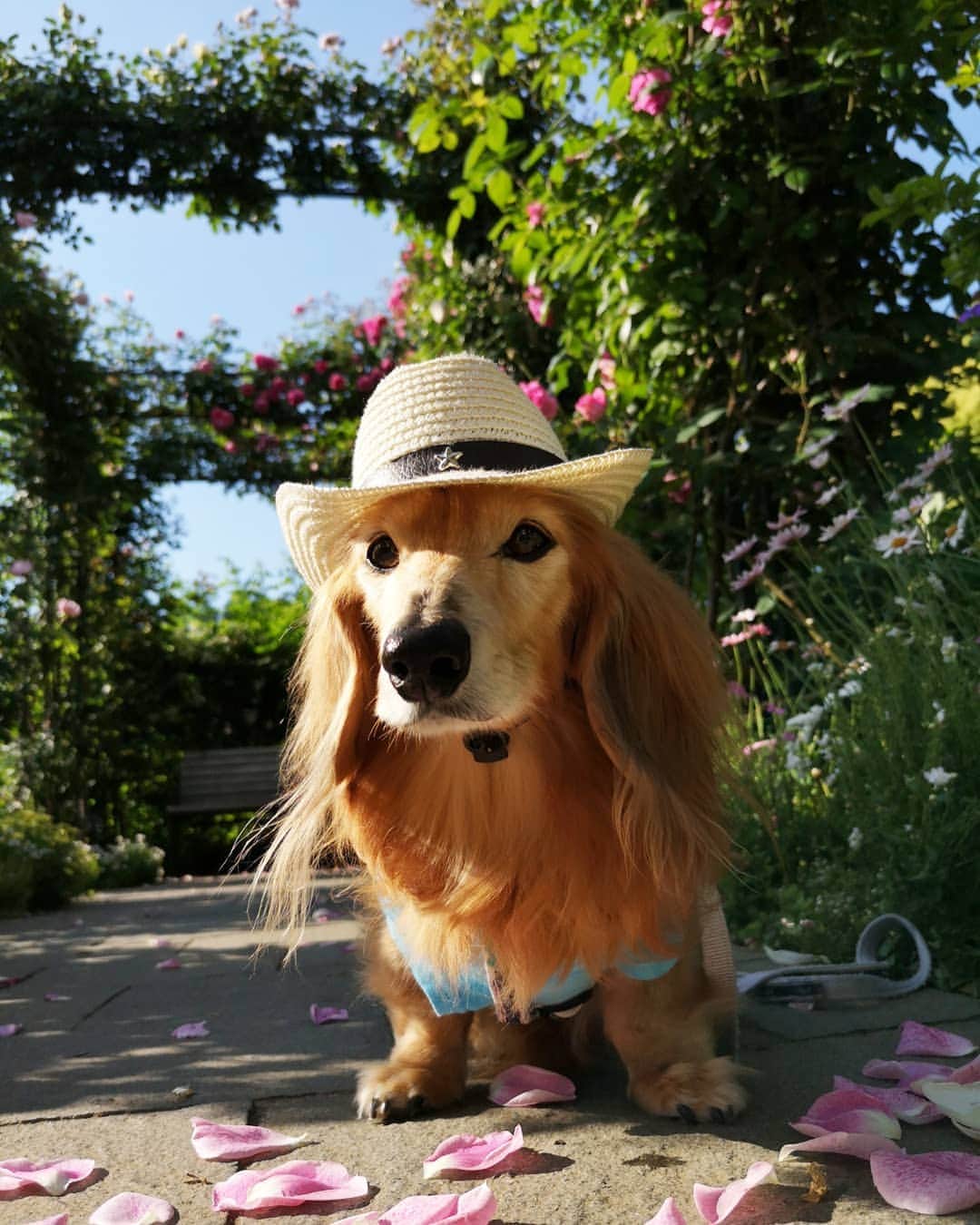 ?モデル?大地?のグルメインスタ