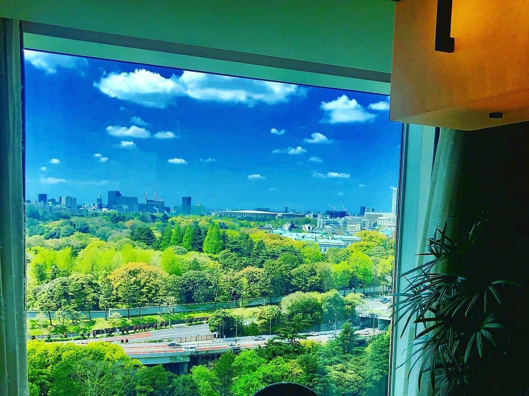 ホテル ニューオータニさんのインスタグラム写真 - (ホテル ニューオータニInstagram)「Gaze over the panoramic view of the surrounding greenery and the skyline! カーテンを開けると広がる一面の緑が、都心にいることを忘れさせます。 #新緑 #窓 #窓からの景色 #緑 #絶景 #景色 #赤坂 #ホテルニューオータニ #greenery #skyline #panoramic #panoramicview #window #freshgreens #akasaka @hotelnewotanitokyo」5月18日 10時31分 - hotelnewotanitokyo