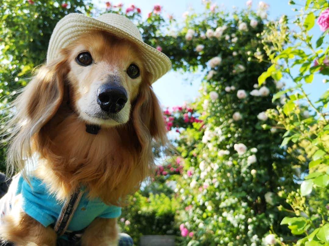 ?モデル?大地?のグルメインスタ