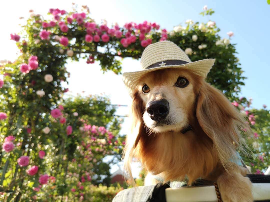 ?モデル?大地?のグルメインスタ