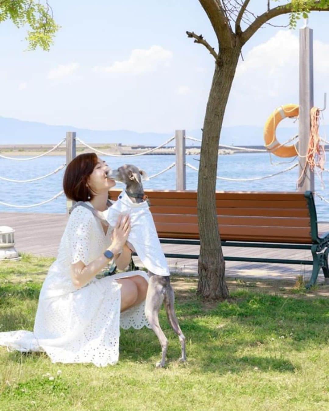 のインスタグラム：「* ******** KISS😘 * すぐにキスと抱っこを求めてくるハウル🐶💕 撮っていただいた写真もキスの瞬間がいっぱいでした😂 * Photo by @vv0724vv_mark6 ******** #イタグレ#イタリアングレーハウンド#italiangreyhound#dogstagram#イタグレとの暮らし#iggy#iggygram #iggylove#iggylife#いぬのいる暮らし#犬のいる暮らし#いぬバカ部#イタグレ服#iggysoftheworld #iggysofinstagram #dogsofig #dogsofinstagram #プチプラコーデ #犬好きな人と繋がりたい#オシャレさんと繋がりたい#犬服ハンドメイド#リンクコーデ#大分県#oita#おんせん県#おんせん県おおいた#oita_pride #oitagram#oitaprefecture」