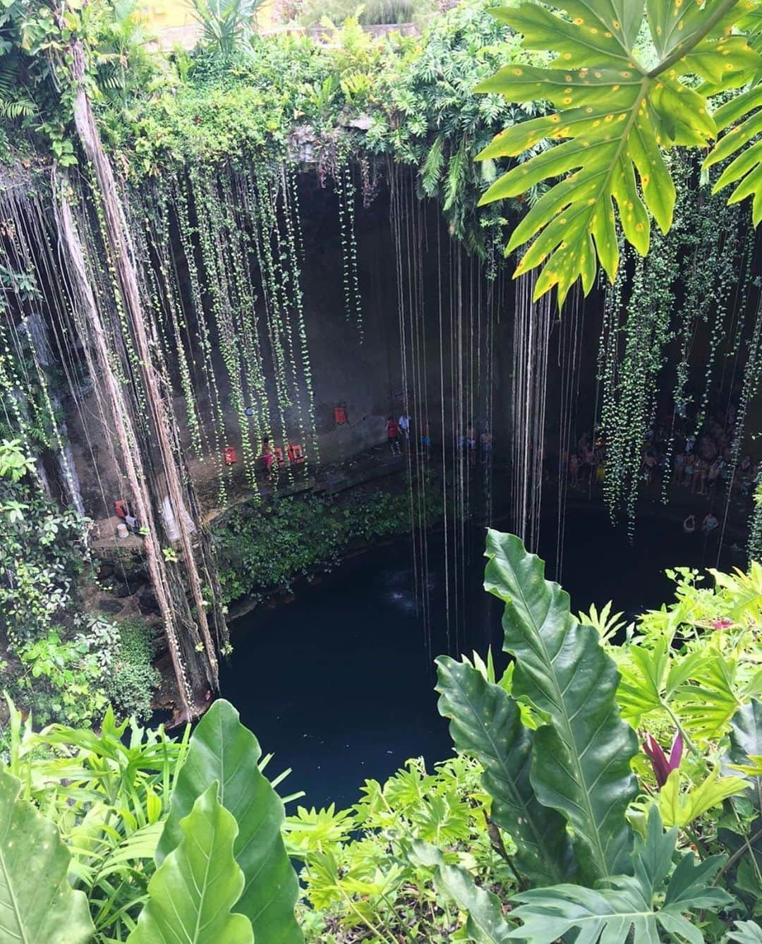 アンナ・ヤノフスカヤさんのインスタグラム写真 - (アンナ・ヤノフスカヤInstagram)「#mexico  Amazing cenote😍 #yucatan #cenote #LetsGoSomeWhere 🌏」5月18日 10時55分 - annayanovskay