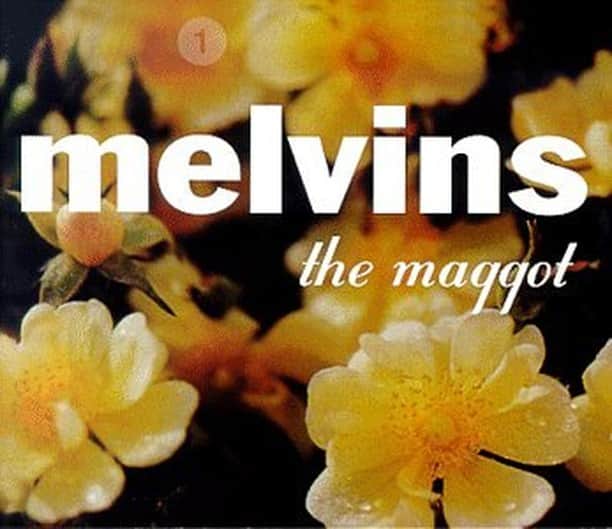 Alternative Pressさんのインスタグラム写真 - (Alternative PressInstagram)「For all intents and purposes, the Melvins drew up the blueprint for grunge, wiped down their bathroom with it and then set in on fire. Their first release for Mike Patton's Ipecac label, "The Maggot," turns 20 today, and remains heavier than you and I. First person who tells what "We All Love Judy" is about gets a free Starbucks from us.⠀ .⠀ .⠀ .⠀ #altpress #ap #alternativepress #iamap #melvins #themaggot #20yearsold #20years #albumanniversary」5月18日 11時00分 - altpress