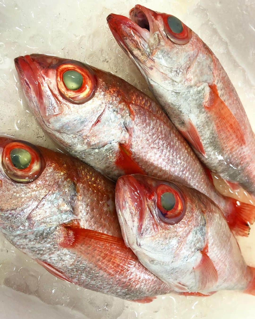 寿司居酒屋 番屋のグルメインスタ