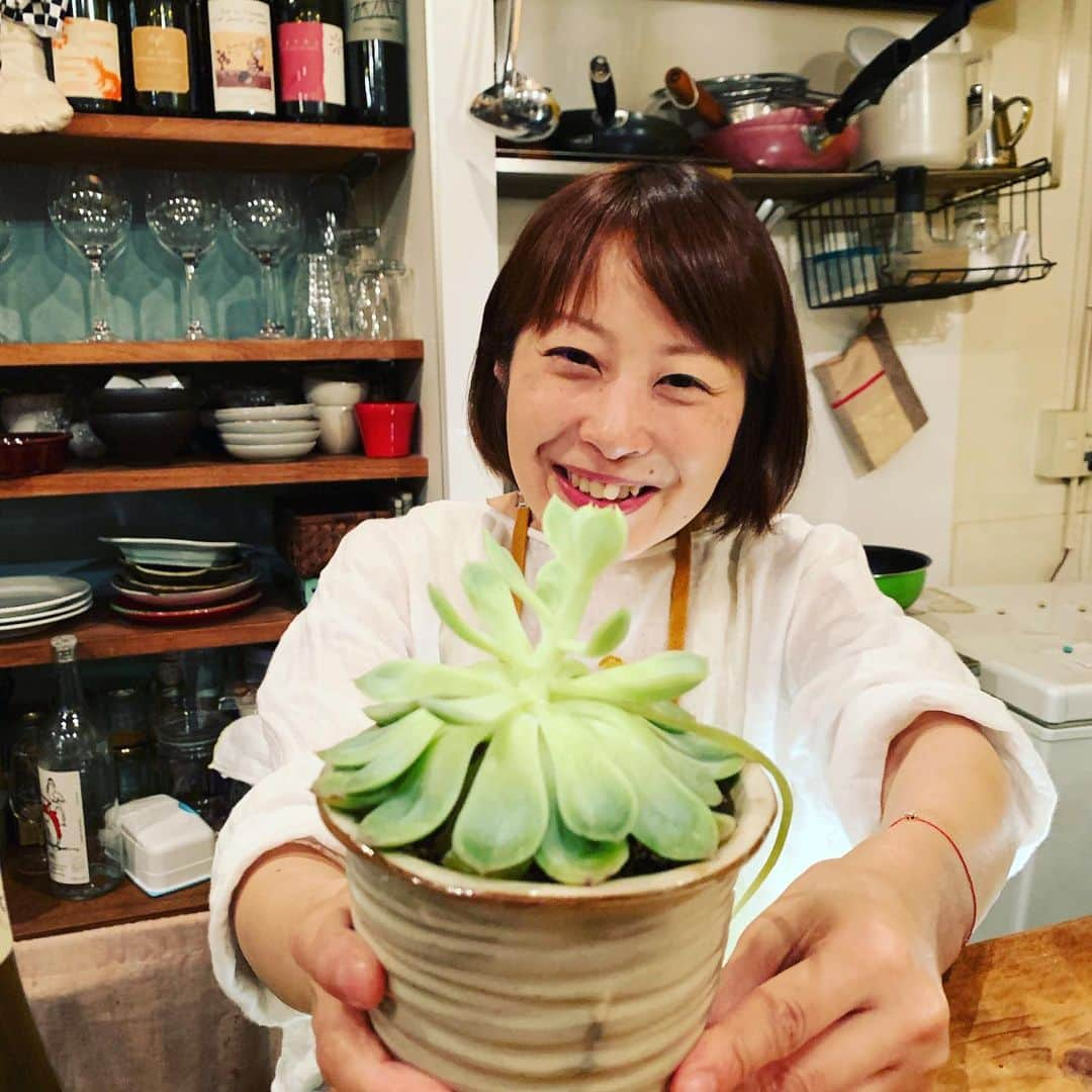 西田善太さんのインスタグラム写真 - (西田善太Instagram)「「1時間に1杯はご注文ください」でお馴染みの初台マチルダ、黒板に新しいフレーズが加わったよ！「ボトルワインがお得でオススメ。込み入った話しがある時もgood!」、効果抜群で、ボトルがよく出るようになってホクホクだとか。「込み入った"話"」が正解じゃない？ 「否！国語の時間に習ったので間違いないわ」と迷いなし、勉強になるね！ 前髪好きなら、新しい鉢植えはエケベリアということと一緒に覚えておくといいね。 #マチルダ」5月18日 11時09分 - zentanishida