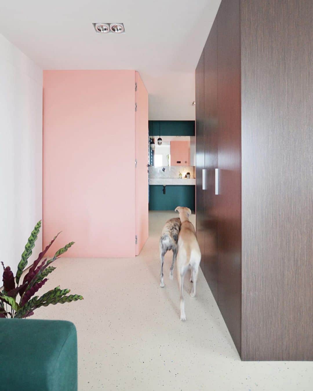Design Milkさんのインスタグラム写真 - (Design MilkInstagram)「Head to designmilk.com to check out this #modernhome designed by @grzegorzlayer for a couple and their whippet dogs. 🐶」5月18日 13時14分 - designmilk