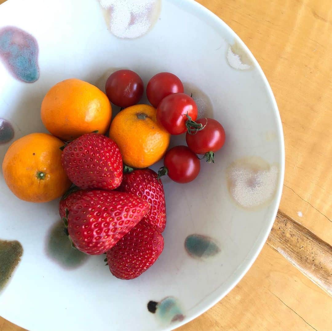 とよた真帆さんのインスタグラム写真 - (とよた真帆Instagram)「朝のビタミン  @oisix の野菜、フルーツを時々食べますがこちらの柑橘系フルーツ、甘くて濃厚で美味しかった ^_^  #fruits #フルーツ #苺 #strawberry #美味しい #オイシックス#oisix #朝のビタミン」5月18日 13時26分 - maho_toyota