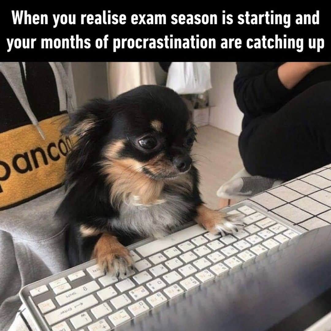 9GAGさんのインスタグラム写真 - (9GAGInstagram)「About time to pay the price...⠀ ⠀ #studentlife #procrastination #9gag」5月19日 0時30分 - 9gag