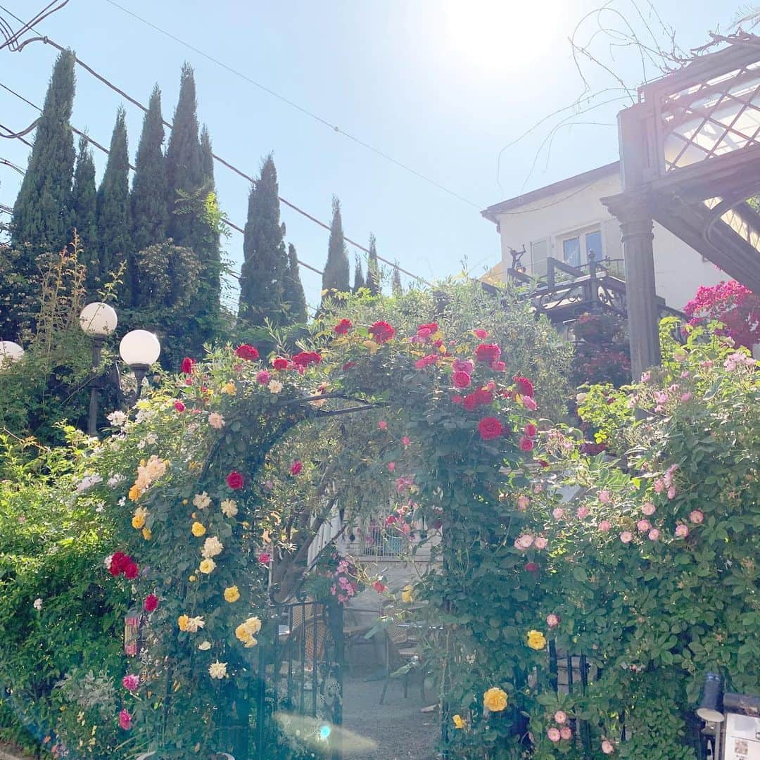 稲垣莉生のグルメインスタ