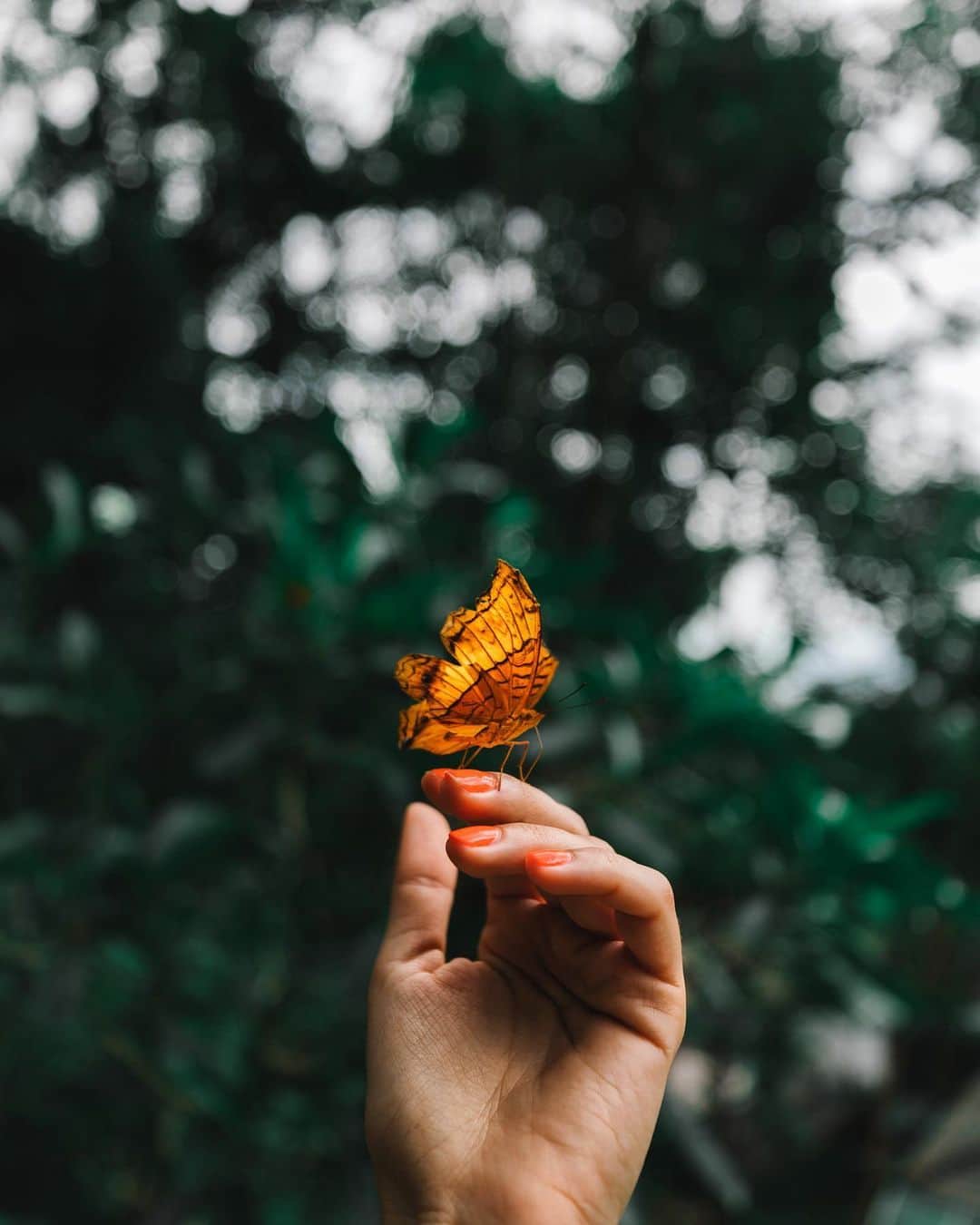 リリー＝ローズ・メロディのインスタグラム：「How can nature can be so perfect 🦋?! Hope you’re all having a wonderful weekend 🍃🧡.」