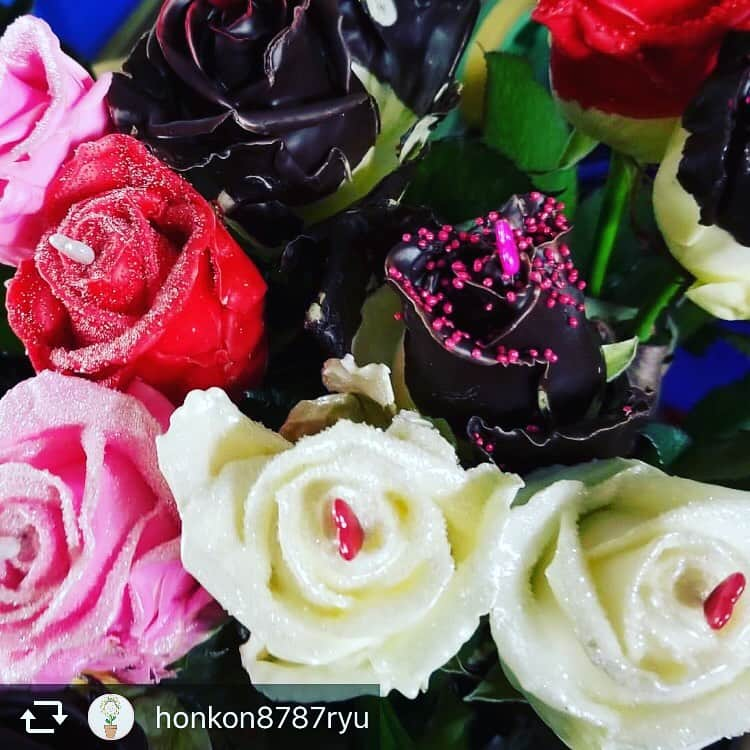 ほんこんさんのインスタグラム写真 - (ほんこんInstagram)「honkon8787ryu #ほんこんの花屋さんbloom #お笑い芸人 #ほんこんさん #花屋  #貝塚 #チョコレートローズ #生花 #花束  #花 #綺麗  #癒し #祝い花 #ハーバリウムボールペン #ほんこん #海蔵kaizou  こんにちは。 ほんこんの花屋さんbloom 花のお兄さんです‼️ チョコレートローズ何かもお家に飾ったりしてみては？ チョコレートのいい香りと薔薇のいい香りがします🌹 おトイレなどに飾ってもおきれいですねっ✨ お花の事何でもほんこんの花屋さんbloomにてお待ちしております。 ご連絡お待ちしておりまぁす🙇  ほんこんの花屋さんbloom  mail honkon878@gmail.com  TEL 080-7975-4314」5月18日 23時56分 - hongkong2015_4_9