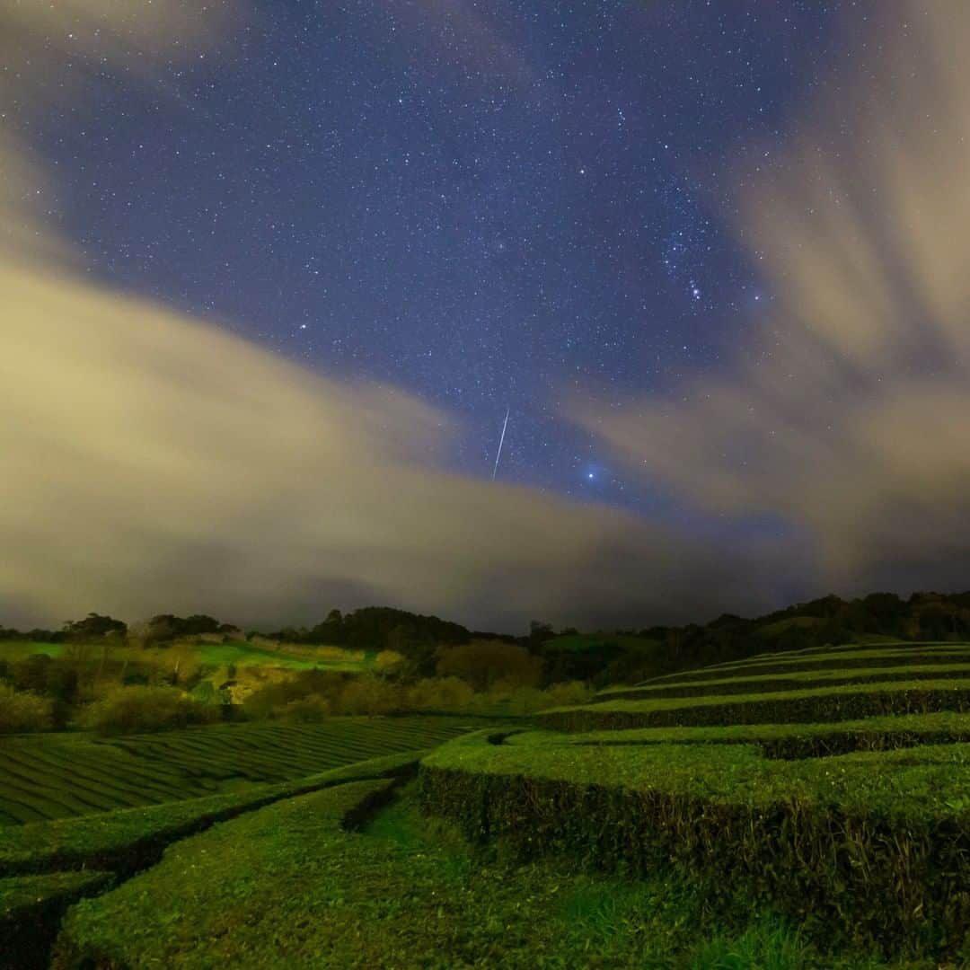 National Geographic Travelさんのインスタグラム写真 - (National Geographic TravelInstagram)「Photo by @BabakTafreshi | A shooting star, Sirius and constellation Orion, framed by fast moving clouds in a moonlit night of Sao Miguel Island of Azores, Portugal. In the foreground is the unique tea plantation of Cha Gorreana. The 45 hectares area is one of the few tea growing areas in Europe. Explore more of the world at night photography @babaktafreshi. #azores #nightsky #tea #twanight」5月18日 15時40分 - natgeotravel