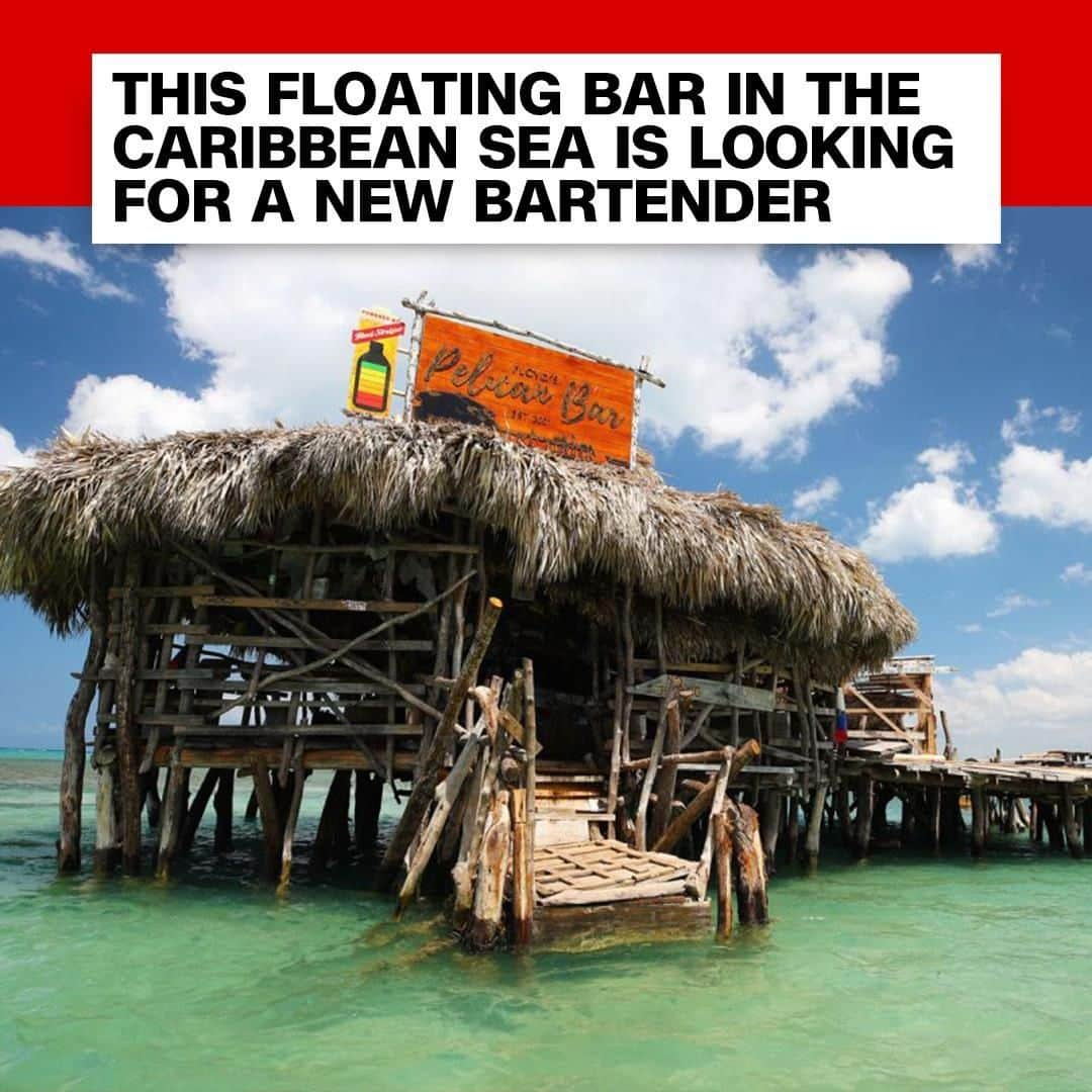 CNNさんのインスタグラム写真 - (CNNInstagram)「Floyd’s Pelican Bar, a wooden shack in Jamaica that is only accessible by boat, is hiring. After nearly 18 years of pulling pints, owner Floyd Forbes is taking a break and needs someone to fill in for him this summer. Interested? The job requires chatting with customers, serving piña coladas and rum punches 🍹and “throwing the occasional fish to the resident pelicans.” (📸: Courtesy Joe Pepler/Pinpep)」5月18日 16時00分 - cnn